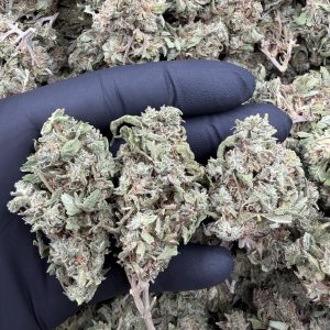 Gorilla Glue