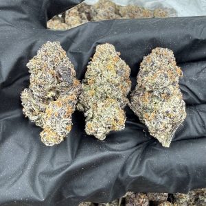 Purple Starburst 🍬 by Symbiotic Genetics