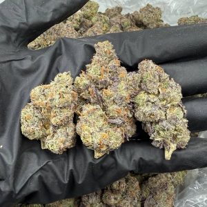 Kool Aid Gelato 🍧
