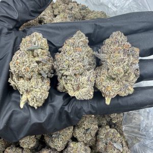 Purple Monkey Ballz 💜🐒