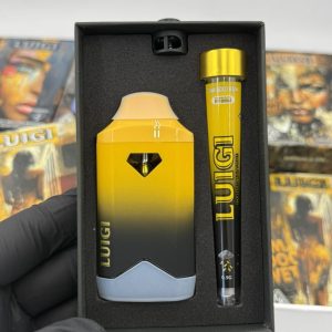 Luigi - Series 9 (2g) w/ Joint