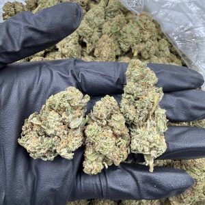 G47
