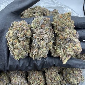 Gelato Cake